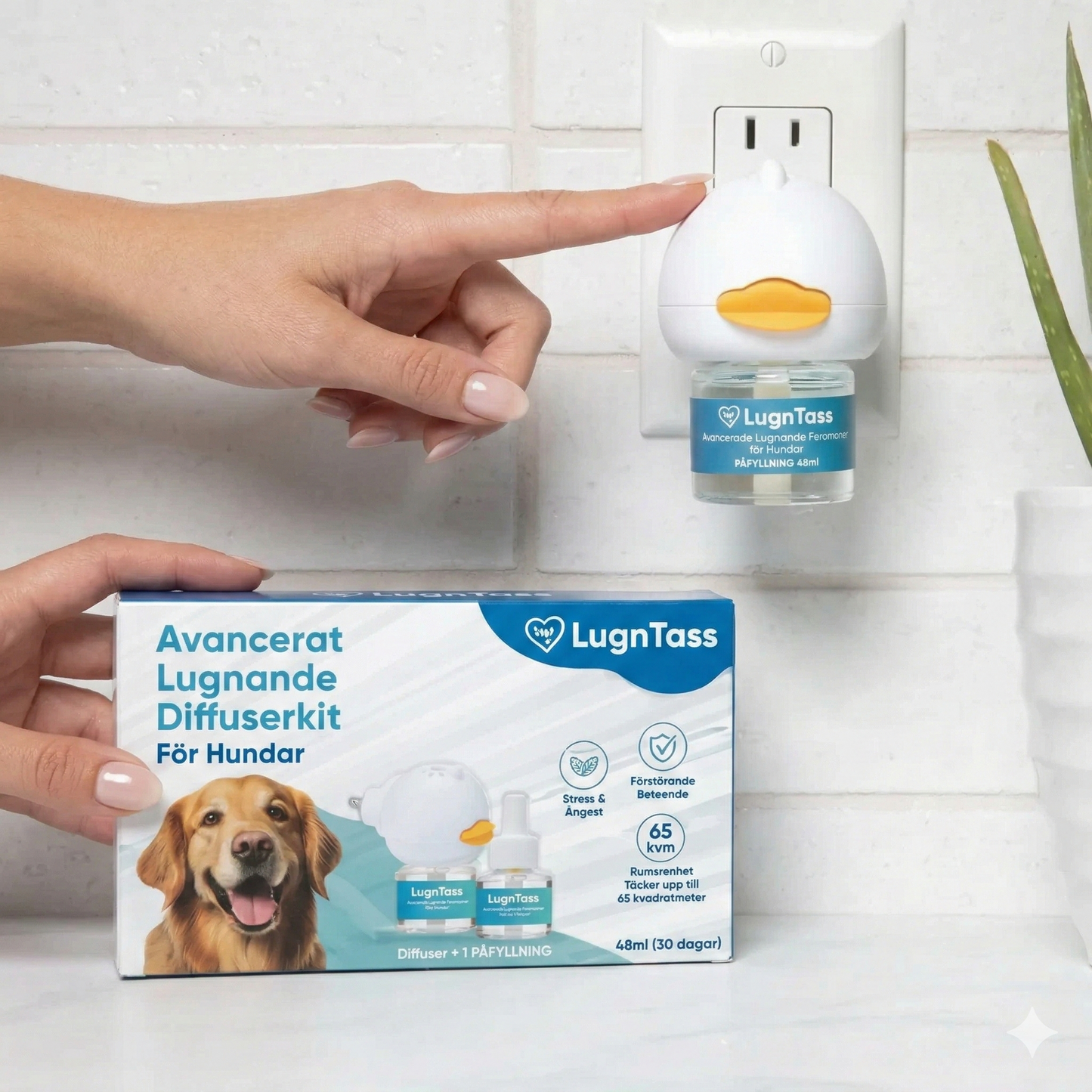 Lugnande Doftavgivare Kit för Hundar – LugnTass